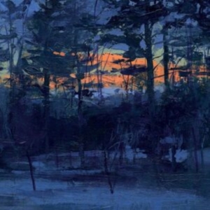 Animal Hospital - Shelf Life i gruppen Annet /  hos Bengans Skivbutik AB (5516997)