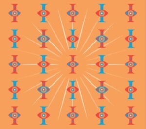 Zorn John - Multiplicities Ii: A Repository Of i gruppen Annet /  hos Bengans Skivbutik AB (5517017)