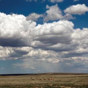 Fruit Bats - Tripper (Deluxe Reissue, White Viny i gruppen Annet / hos Bengans Skivbutik AB (5517054)