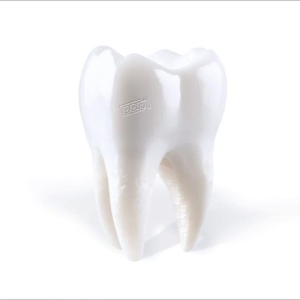 Porij - Teething i gruppen Kommende produkter - 10 procent hos Bengans Skivbutik AB (5517473)