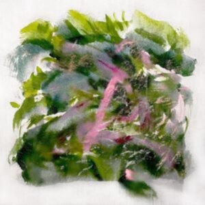 Mizu - Forest Scenes (Color-In-Color Light i gruppen VINYL hos Bengans Skivbutik AB (5517713)
