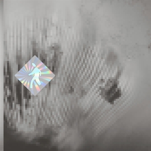 Discovery Zone - Quantum Web i gruppen VI TIPSER / Fredagsutgivelser / Fredag den 8:e Mars 2024 hos Bengans Skivbutik AB (5517889)