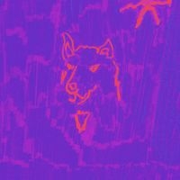 Dehd - Poetry i gruppen CD hos Bengans Skivbutik AB (5518017)
