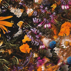 Crackups - Greetings From Earth i gruppen VINYL hos Bengans Skivbutik AB (5518701)