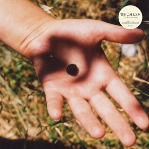 Calicos - The Soft Landing i gruppen VINYL / Pop-Rock hos Bengans Skivbutik AB (5518704)