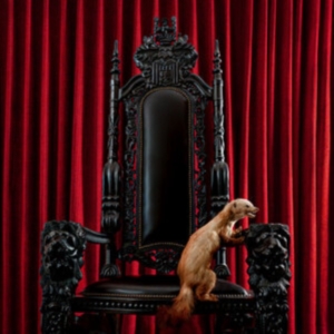 Brume - Marten (Red Vinyl Lp) i gruppen VINYL hos Bengans Skivbutik AB (5519026)