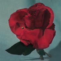 Metz - Up On Gravity Hill (Loser Edition Yellow Vinyl) i gruppen VI TIPSER / Årets topplister 2024 / Årets beste Alex hos Bengans Skivbutik AB (5519558)