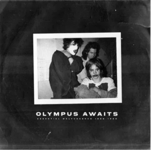 Malfunkshun - Olympus Awaits (Neon Purple Vinyl/2Lp) (Rsd) - IMPORT i gruppen Korr_grupp /  hos Bengans Skivbutik AB (5520073)