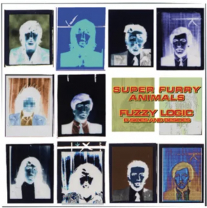 Super Furry Animals - Fuzzy Logic (B-Sides & Besides) (Green Bottle Vinyl) (Rsd) - IMPORT i gruppen VINYL / Pop-Rock hos Bengans Skivbutik AB (5520120)