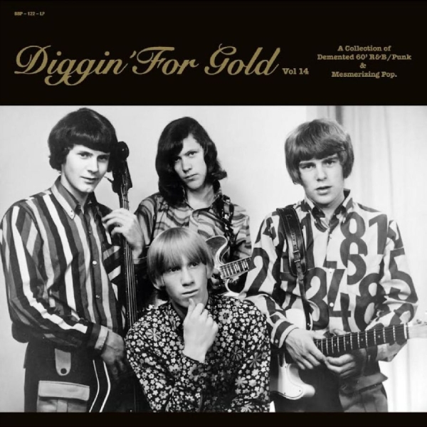 Various Artists - Diggin' For Gold Vol. 14 i gruppen VINYL / Toppselgere hos Bengans Skivbutik AB (5522114)