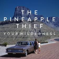 The Pineapple Thief - Split Seams/Vikt Hörn Your Wilderness i gruppen Annet / Split Seams 2024 hos Bengans Skivbutik AB (5522364)