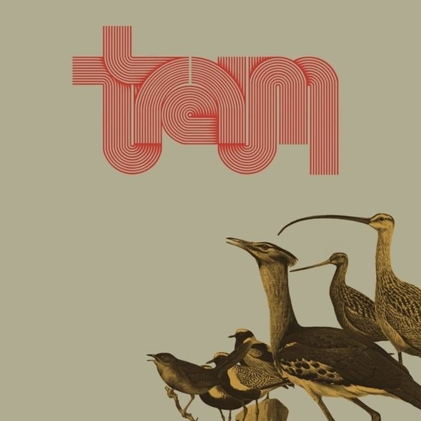 Traum - Traum i gruppen VINYL / Pop-Rock hos Bengans Skivbutik AB (5522492)