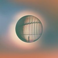 Ellsworth Daniel & The Great Lakes - High Life i gruppen VINYL hos Bengans Skivbutik AB (5522712)