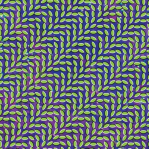 Animal Collective - Merriweather Post Pavillion i gruppen VINYL / Pop-Rock hos Bengans Skivbutik AB (5522808)