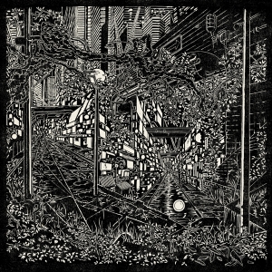 Jake Long - City Swamp i gruppen Annet /  hos Bengans Skivbutik AB (5523529)