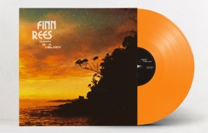 Finn Rees - Dawn Is A Melody i gruppen Annet /  hos Bengans Skivbutik AB (5523532)
