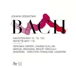 Bach - Cantatas i gruppen CD hos Bengans Skivbutik AB (552744)