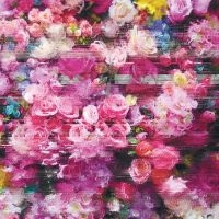 Bersarin Quartett - Systeme (Indie Exclusive, White Vin i gruppen CD hos Bengans Skivbutik AB (5537515)