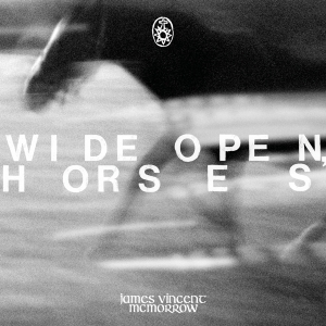 James Vincent Mcmorrow - Wide Open, Horses i gruppen Annet /  hos Bengans Skivbutik AB (5539230)