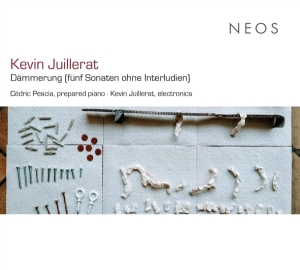 Cedric Pescia & Kevin Juillerat - Kevin Juillerat: Dämmerung (Fünf Sonaten Ohne Interludien) i gruppen Annet / hos Bengans Skivbutik AB (5539572)