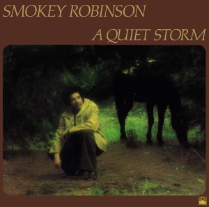 Smokey Robinson - A Quiet Storm i gruppen Annet / hos Bengans Skivbutik AB (5540391)