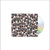 Tom Vek - Confirm Yourself i gruppen CD hos Bengans Skivbutik AB (5549039)