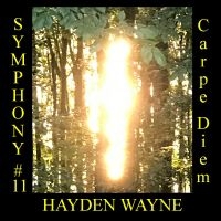 Hayden Wayne - Symphony #11: Carpe Diem i gruppen CD hos Bengans Skivbutik AB (5549782)