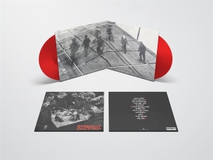 Jungle By Night - Synergy i gruppen Annet /  hos Bengans Skivbutik AB (5550100)