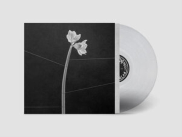 Trentemøller - Dreamweaver (Crystal Clear Vinyl) i gruppen VI TIPSER / Fredagsutgivelser / Fredag den 13:e september 2024 hos Bengans Skivbutik AB (5550177)