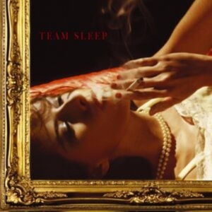 Team Sleep - Team Sleep i gruppen Annet / hos Bengans Skivbutik AB (5550355)