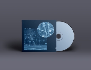 Daniel Herskedal - Call For Winter Ii: Resonance i gruppen CD hos Bengans Skivbutik AB (5550946)