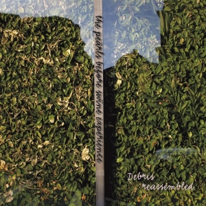 The Pearls Before Swine Experience - Debris Reassembled i gruppen CD / Klassisk hos Bengans Skivbutik AB (555248)