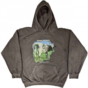 Pink Floyd - Atom Heart M Fade Char Hoodie i gruppen Annet / hos Bengans Skivbutik AB (5553930r)