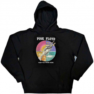 Pink Floyd - Wywh Circle Icons Uni Bl Hoodie i gruppen Annet /  hos Bengans Skivbutik AB (5553932r)