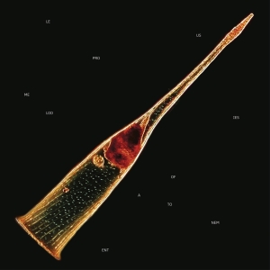 Leprous - Melodies Of Atonement i gruppen DVD & BLU-RAY hos Bengans Skivbutik AB (5555707)