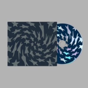 Toro Y Moi - Hole Erth i gruppen VI TIPSER / Fredagsutgivelser / Fredag den 6:e september 2024 hos Bengans Skivbutik AB (5555736)