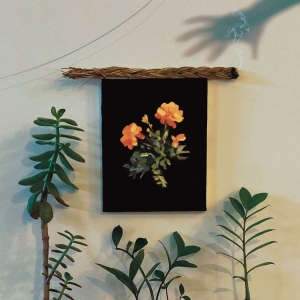 Why? - The Well I Fell Into (Coke Bottle C i gruppen VI TIPSER / Fredagsutgivelser / Fredag den 2:e augusti hos Bengans Skivbutik AB (5556071)