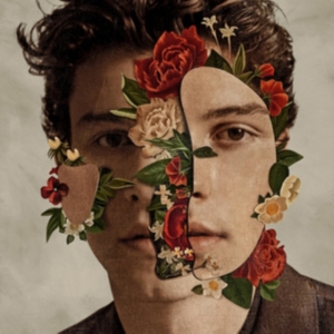 Shawn Mendes  - The Album i gruppen -Start CD hos Bengans Skivbutik AB (5556120)