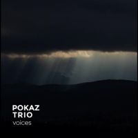 Pokaz Trio - Voices i gruppen VI TIPSER / Fredagsutgivelser / 2025-04-25 hos Bengans Skivbutik AB (5556506)