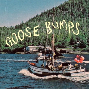 Boyscott - Goose Bumps (Green & Blonde Swirl V i gruppen VINYL / Pop-Rock hos Bengans Skivbutik AB (5557918)