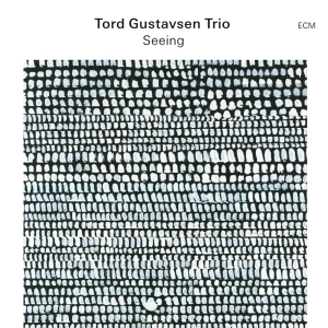 Tord Gustavsen Trio - Seeing i gruppen CD hos Bengans Skivbutik AB (5558451)