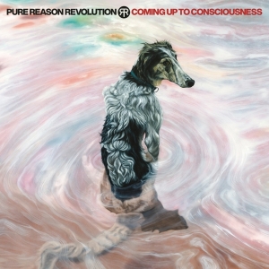 Pure Reason Revolution - Coming Up To Consciousness i gruppen Annet /  hos Bengans Skivbutik AB (5558837)