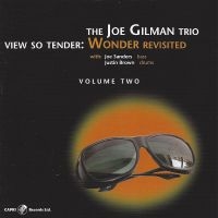 Joe Gilman - View So Tender: Wonder Revisited Vo i gruppen CD hos Bengans Skivbutik AB (5559084)
