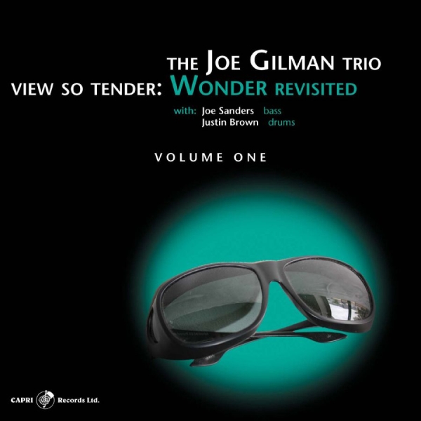 Joe Gilman - View So Tender: Wonder Revisited Vo i gruppen CD / Toppselgere hos Bengans Skivbutik AB (5559087)