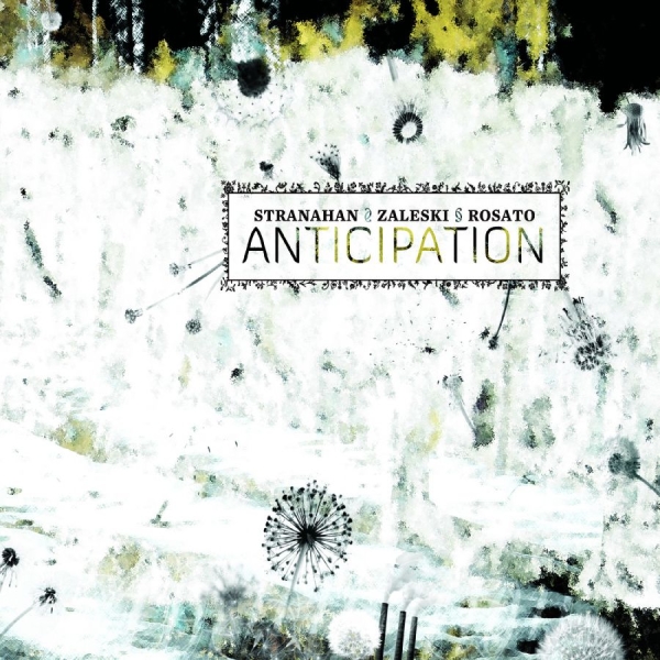 Colin Stranahan & Glenn Zaleski & R - Anticipation i gruppen CD / Toppselgere hos Bengans Skivbutik AB (5559093)