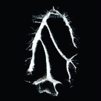 Seefeel - Everything Squared i gruppen VI TIPSER / Fredagsutgivelser / Fredag den 30:e augusti 2024 hos Bengans Skivbutik AB (5559913)