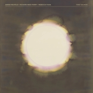 Sarah Neufeld & Richard Reed Parry & Rebecca Foon - First Sounds i gruppen Annet /  hos Bengans Skivbutik AB (5560004)