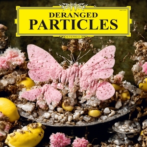 Felix Henkelhausen - Deranged Particles i gruppen Annet /  hos Bengans Skivbutik AB (5560471)