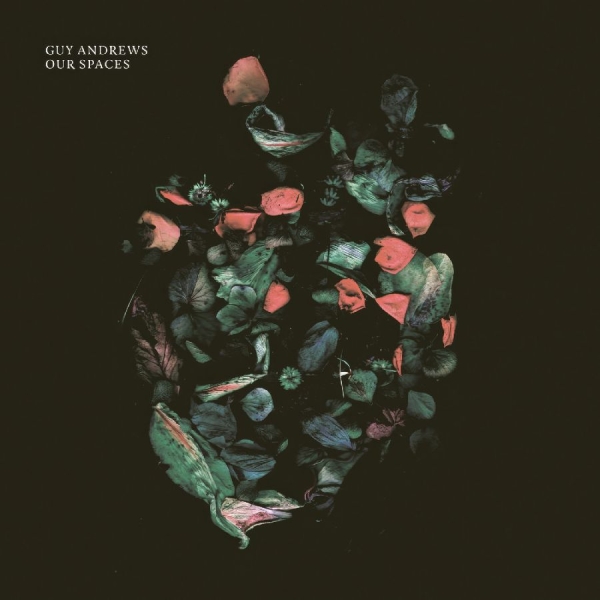 Andrews Guy - Our Spaces i gruppen VINYL / Toppselgere hos Bengans Skivbutik AB (5561044)