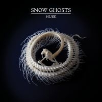 Snow Ghosts - Husk (Clear Vinyl) i gruppen VINYL hos Bengans Skivbutik AB (5561048)